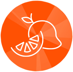 Orange and mango icon