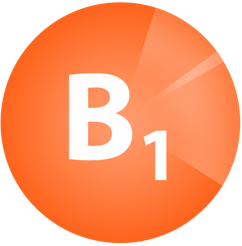 Vitamin B1 icon