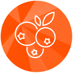 Berry icon